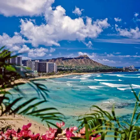 Beautiful Studio In The Heart Of Vibrant Waikiki Honolulu Exterior photo